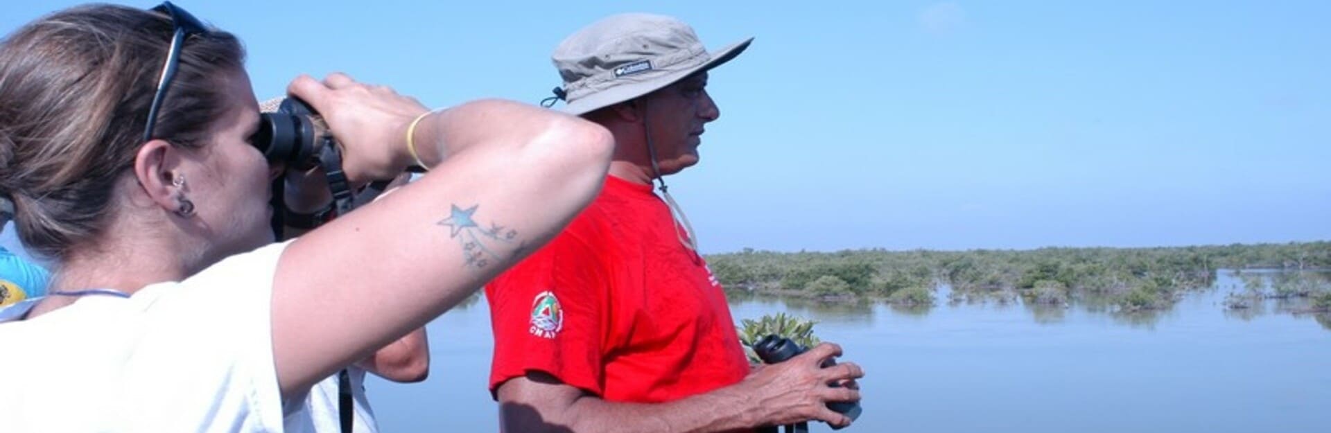 Observación de aves Ciénaga de Zapata, Cuba